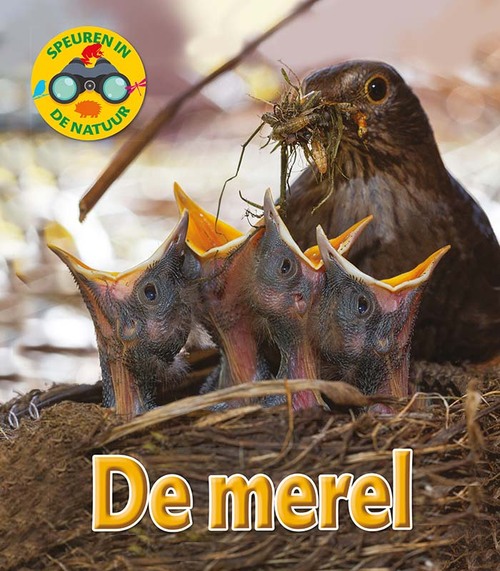 Corona De merel