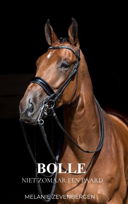 Mijnbestseller.nl Bolle