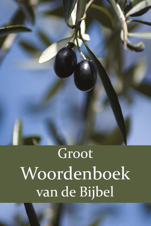 Importantia Publishing Groot Woordenboek van de Bijbel O-Z