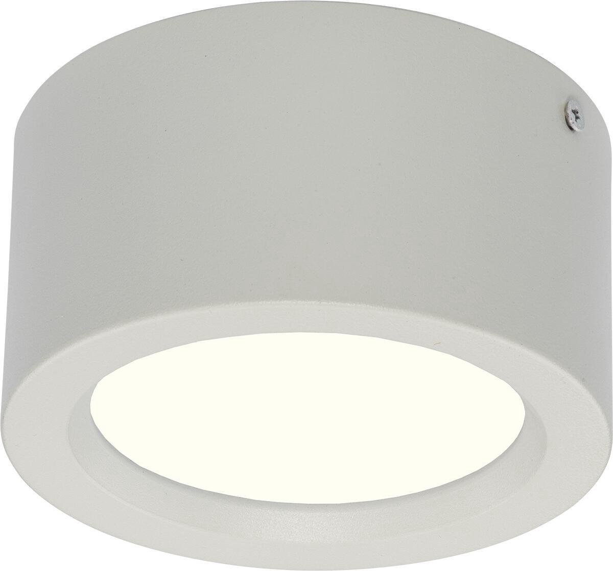 BES LED Led Downlight - Opbouw Rond Hoog 10w - Natuurlijk 4200k - Mat Aluminium - Ø140mm - Wit