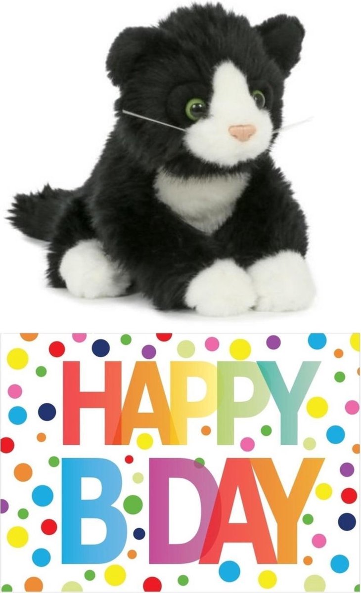 Bellatio Decorations Cadeau Setje Pluche/witte Kat/poes Knuffel 18 Cm Met Grote A5 Formaat Happy Birthday Wenskaart - Zwart