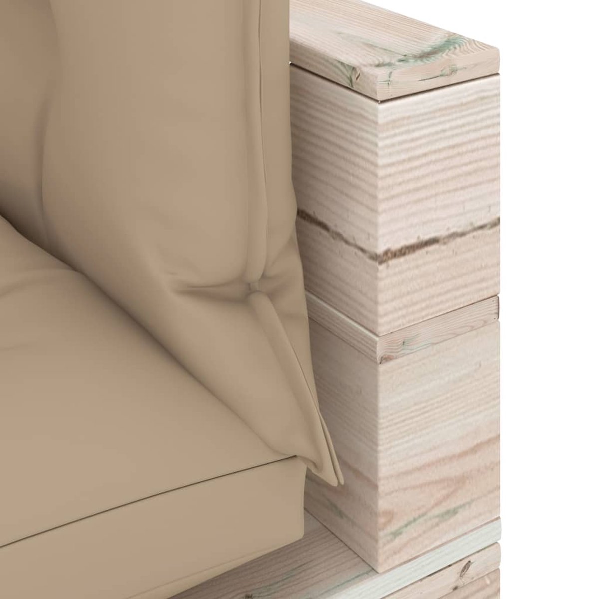 Vidaxl Tuinbank 2-zits Met Kussens Pallet Grenenhout - Beige