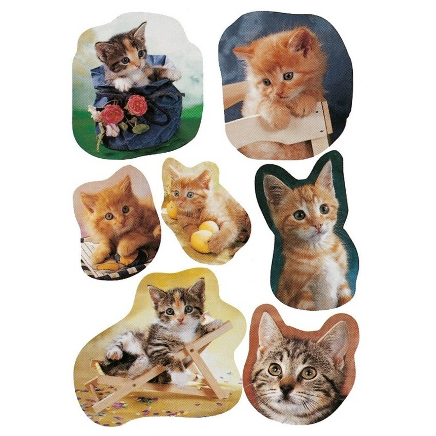 21x Katten/poezen Dieren Stickers - Kinderstickers - Stickervellen - Knutselspullen