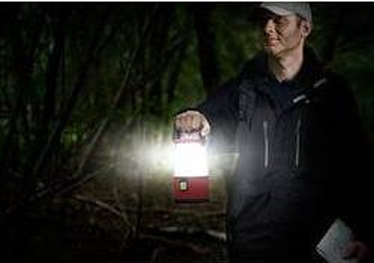 Energizer campinglantaarn 360° - Rood