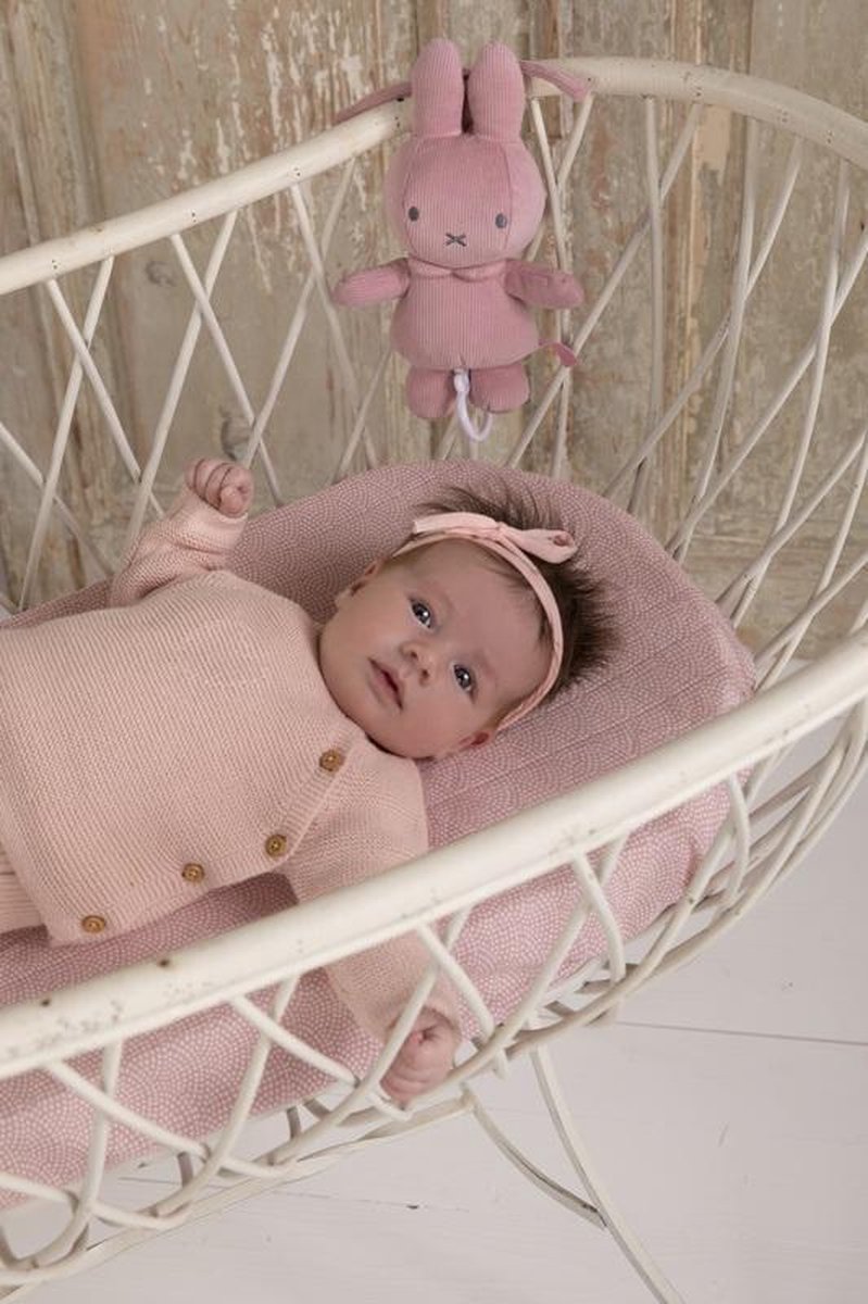 Tiamo Nijntje Muziekdoosje Babyrib - Roze