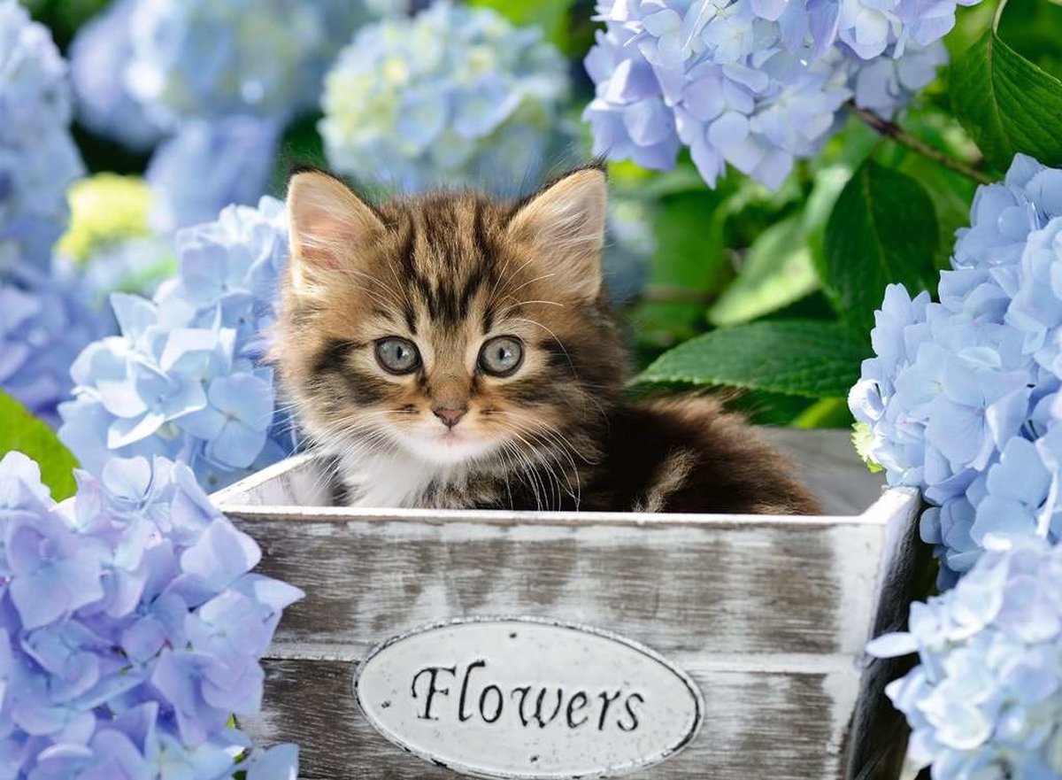 Ravensburger Puzzel Klein Katje 300 XXL Stukjes