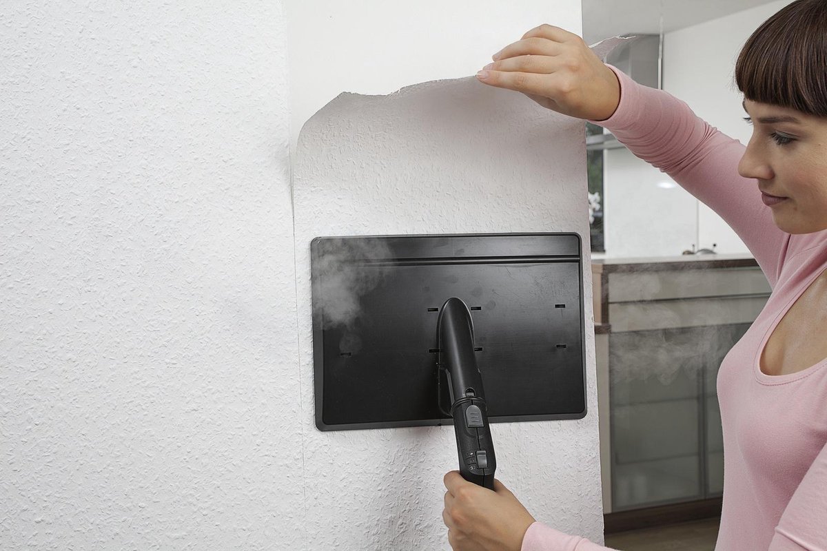 Kärcher Behangafstomer