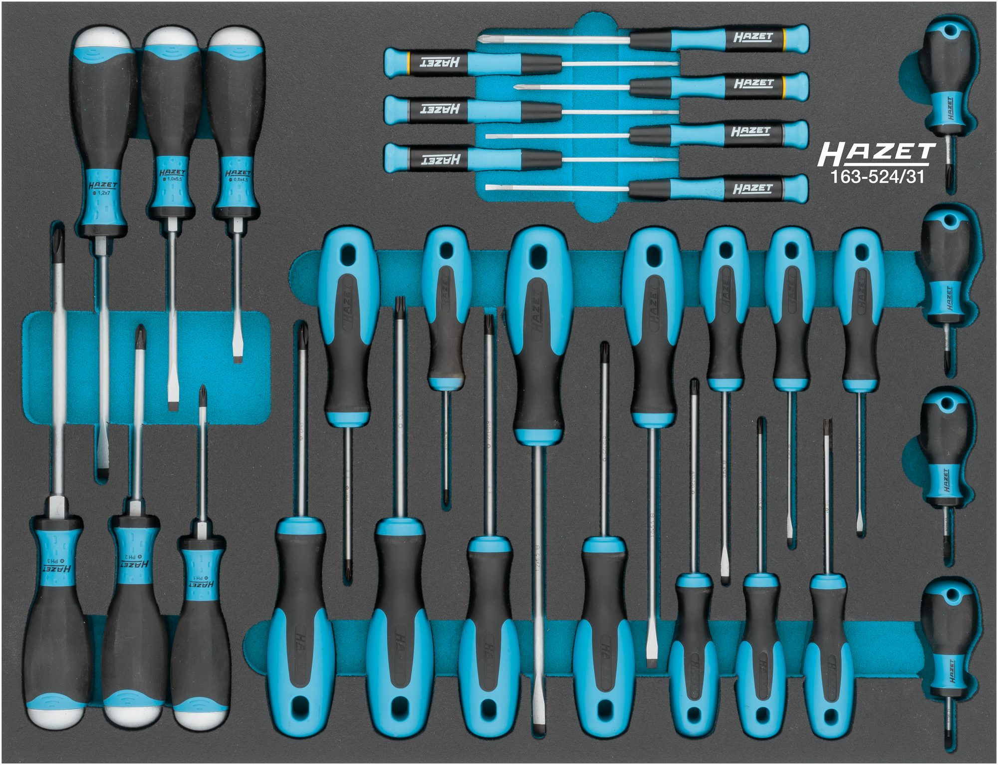 Hazet 163-524/31 31-delige Schroevendraaierset