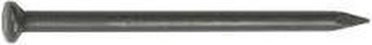 HJZ 101.25 Nagels - Bombe kop - 30x2mm (100st)