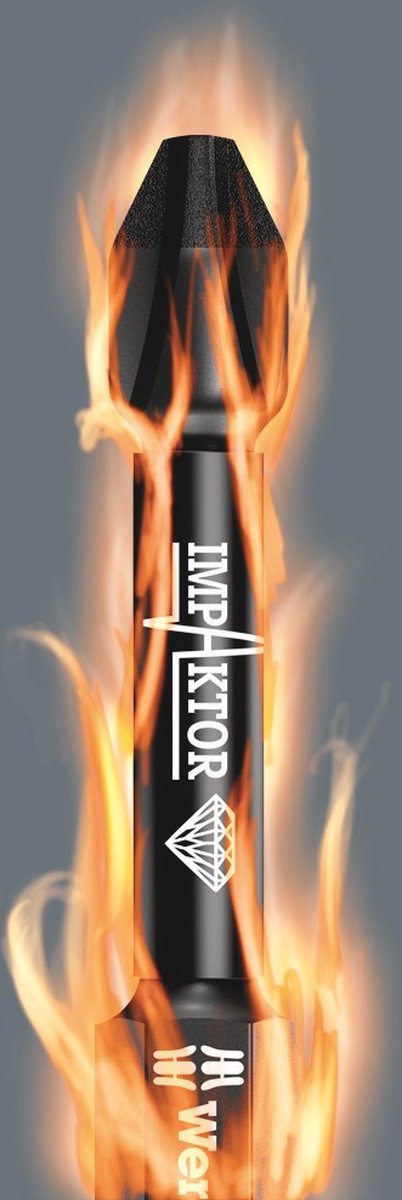 Wera 05057690001 30 delige Bitcheck Impaktor 1 bitset - PH/PZ/TX/HX