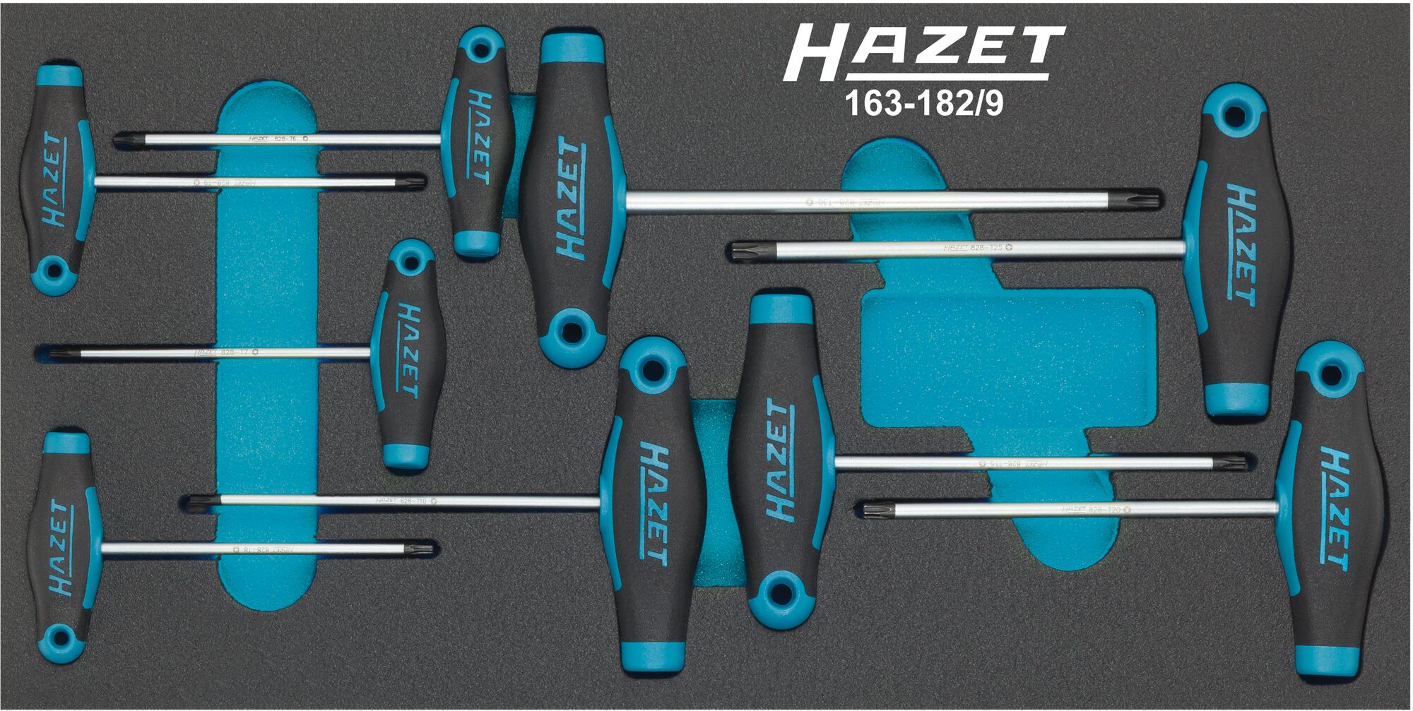 Hazet 163-182/9 9-delige Schroevendraaierset met T-greep - TORX - T6 - T30