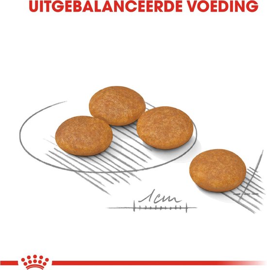 Royal Canin Dermacomfort Mini - Hondenvoer - 1 kg