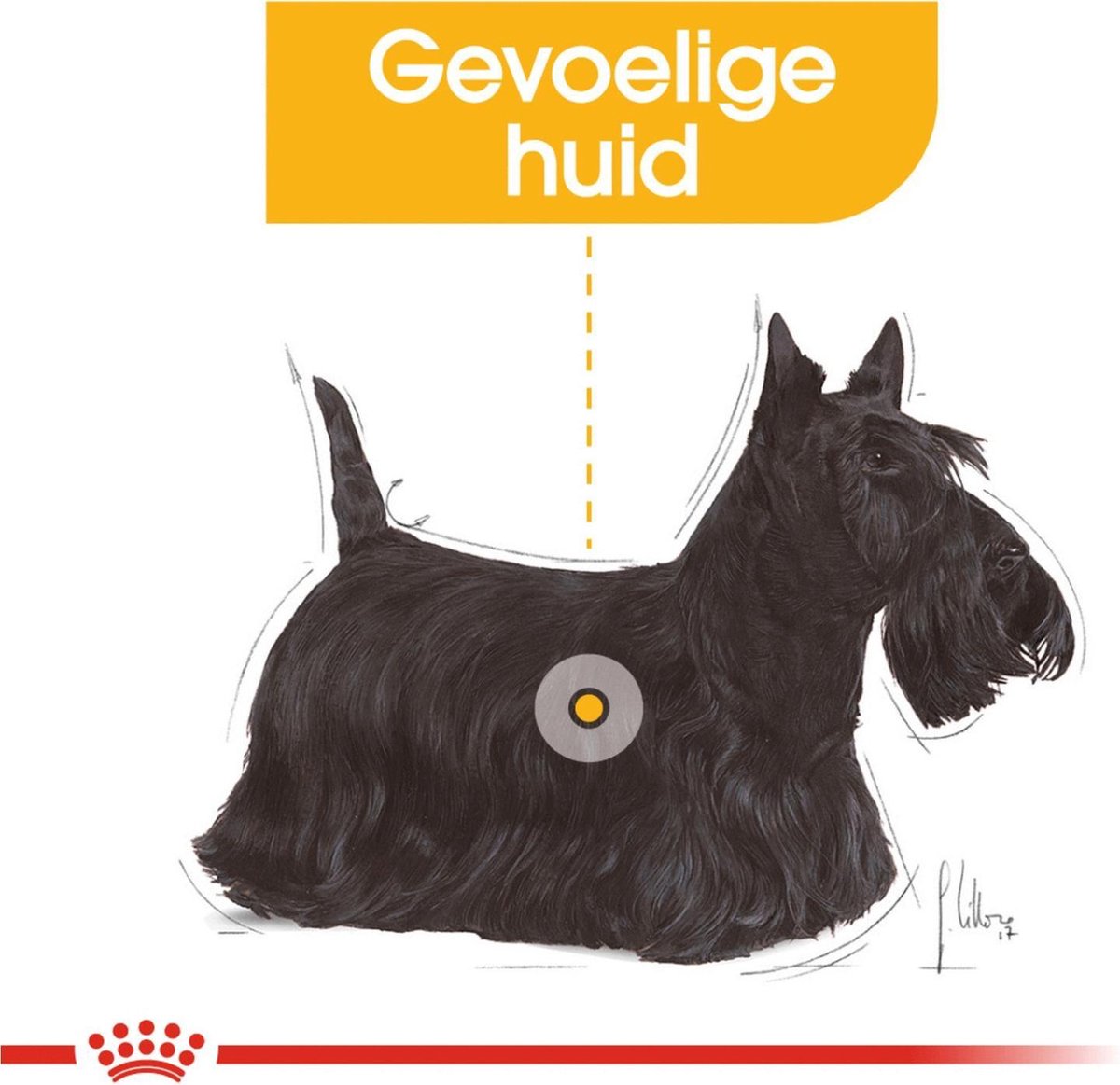 Royal Canin Dermacomfort Mini - Hondenvoer - 1 kg