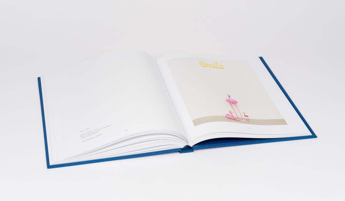 Guillaume Bijl. Multiples & Editions
