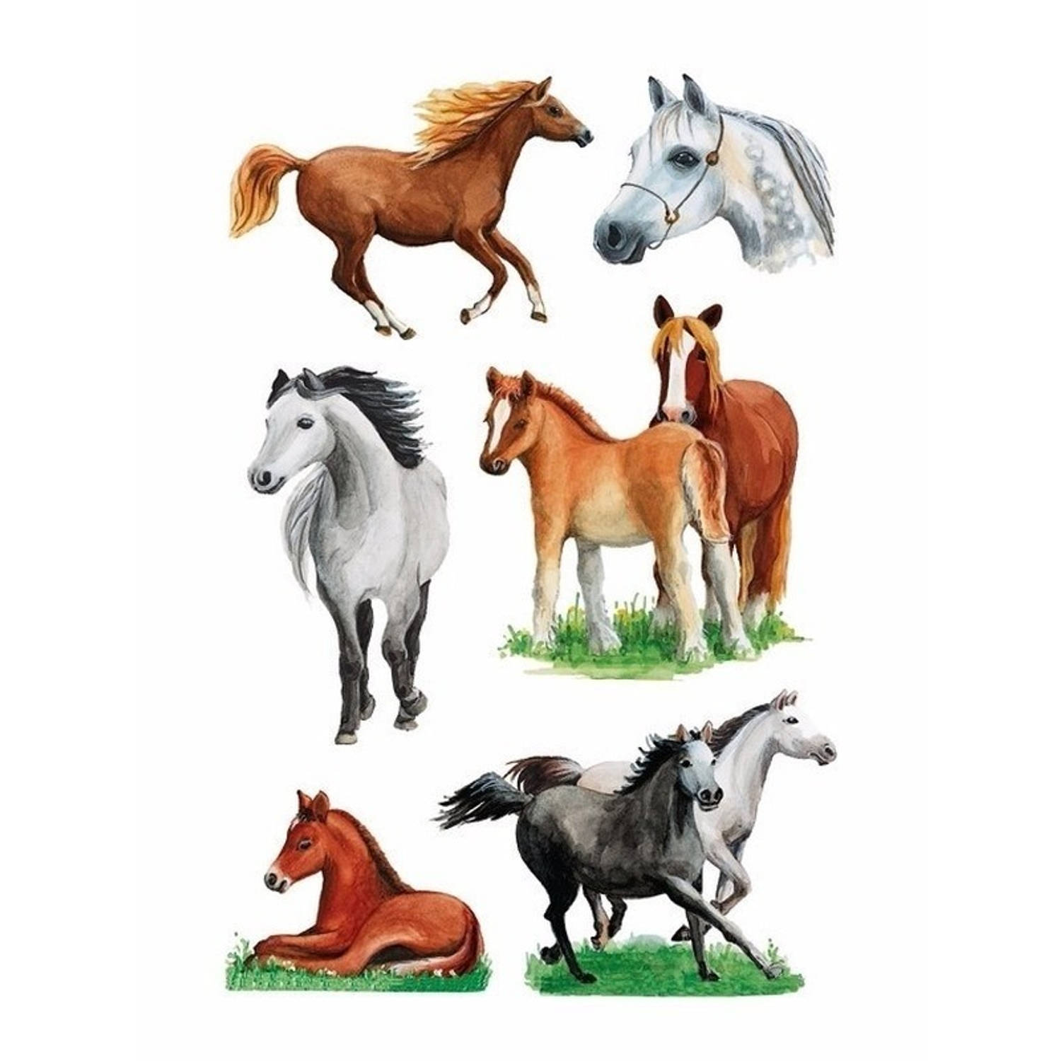 Paarden Stickers 6 Vellen - Dieren Stickers