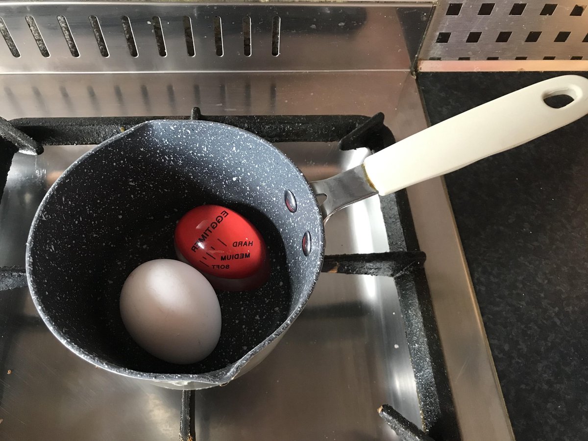 Eierwekker Kuiken - Rood