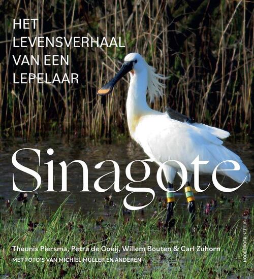 Uitgeverij Noordboek Sinagote