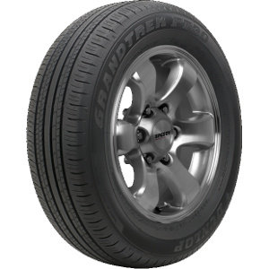 Dunlop Grandtrek PT30 ( 225/60 R18 100H ) - Zwart