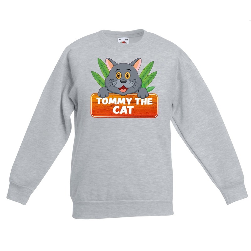 Bellatio Decorations Tommy the Cat sweater voor kinderen - unisex - katten / poezen trui - Grijs