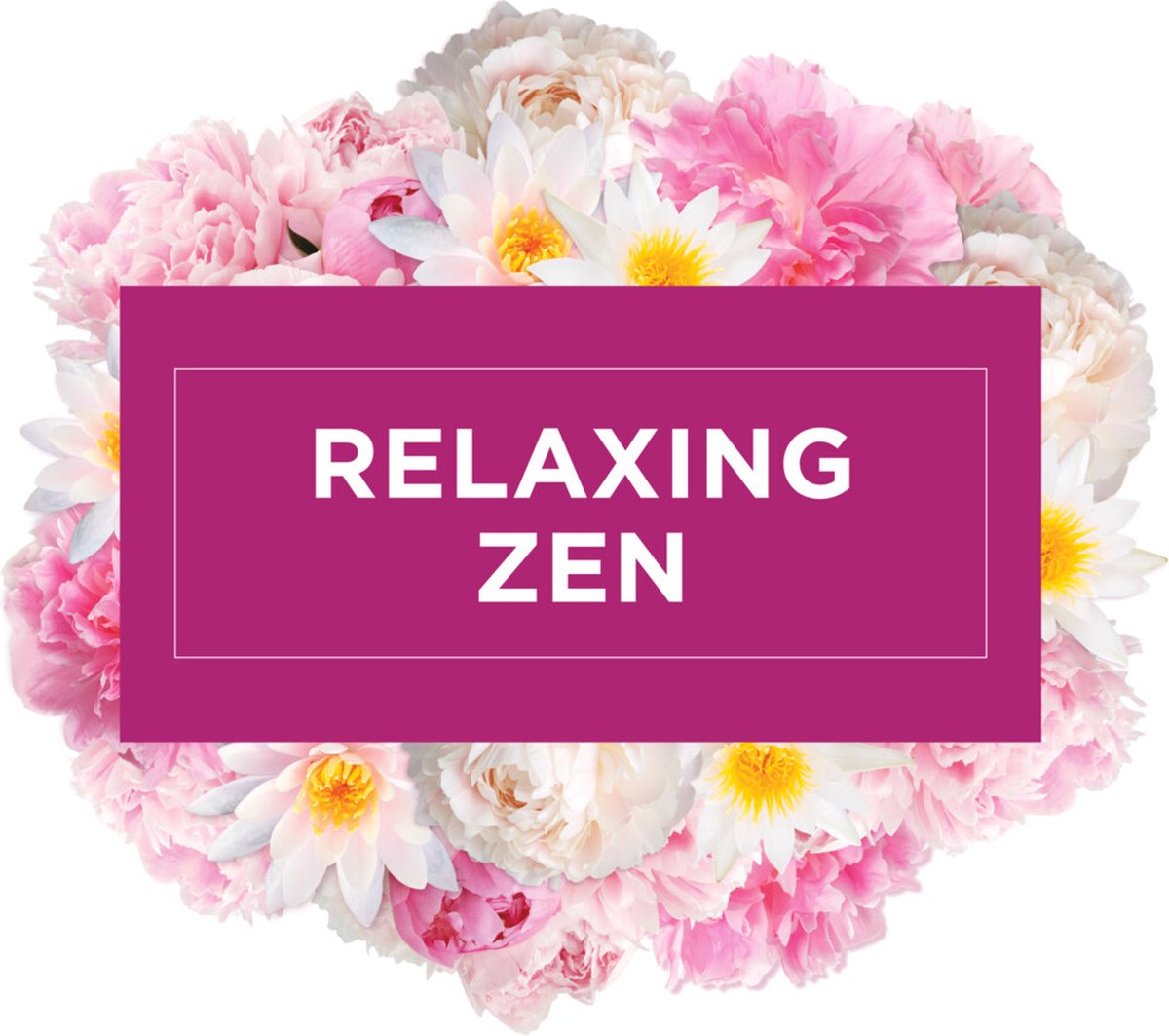 Brise Glade Sense en Spray Relaxing Zen Navulling