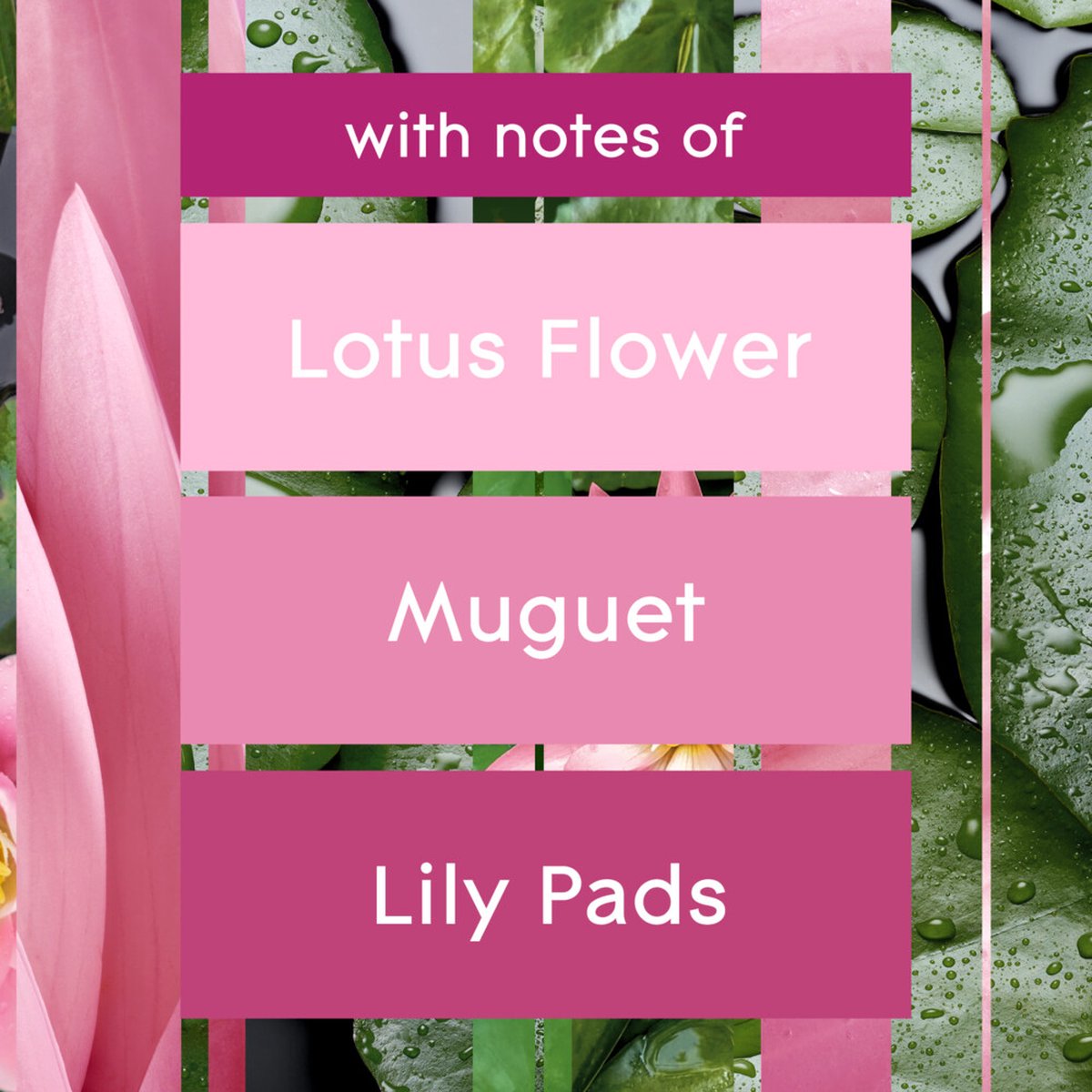 Brise Glade Sense en Spray Relaxing Zen Navulling