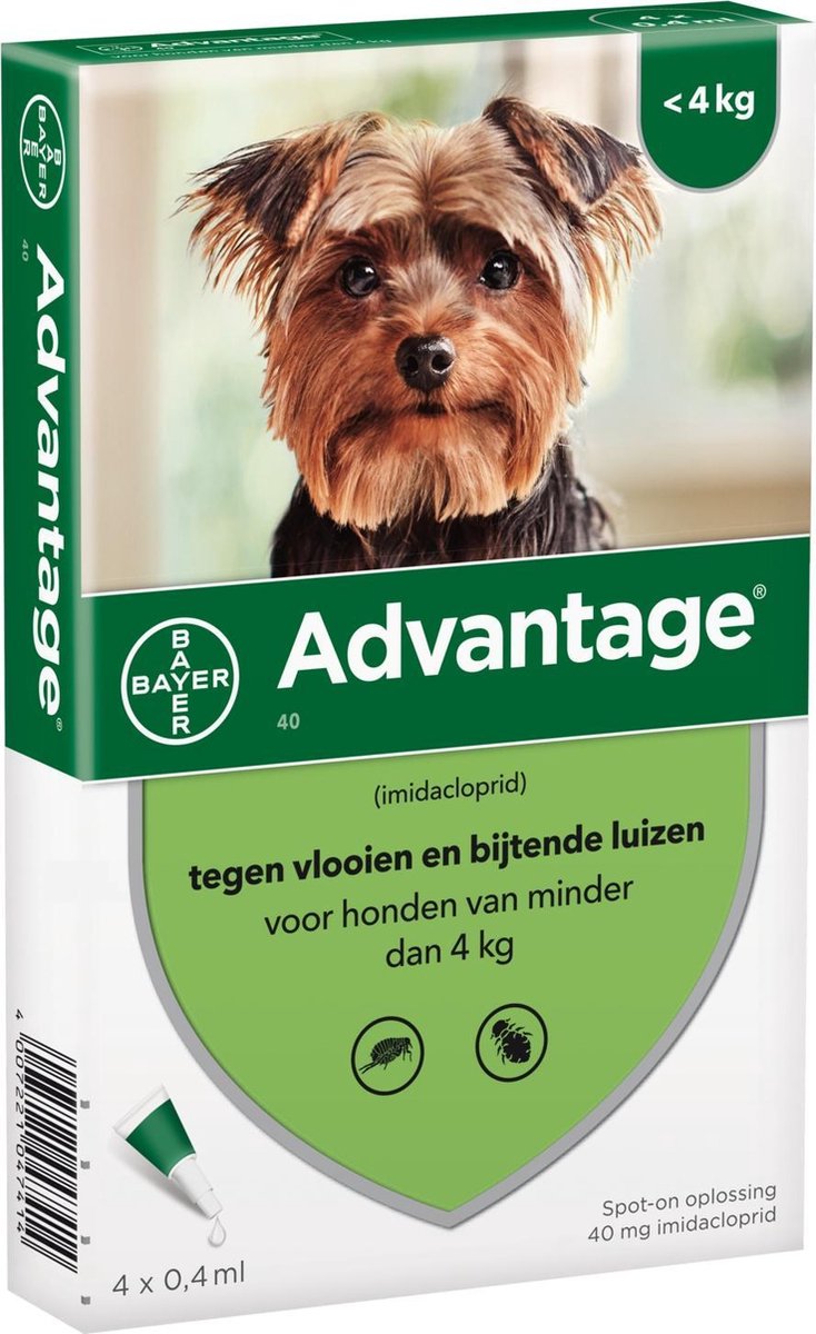 Advantage 40 Hond tot 4kg