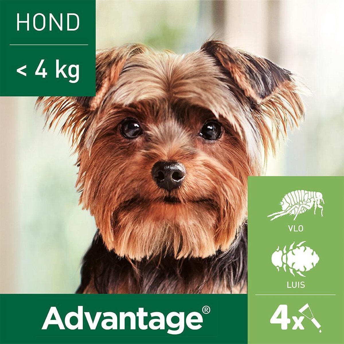 Advantage 40 Hond tot 4kg