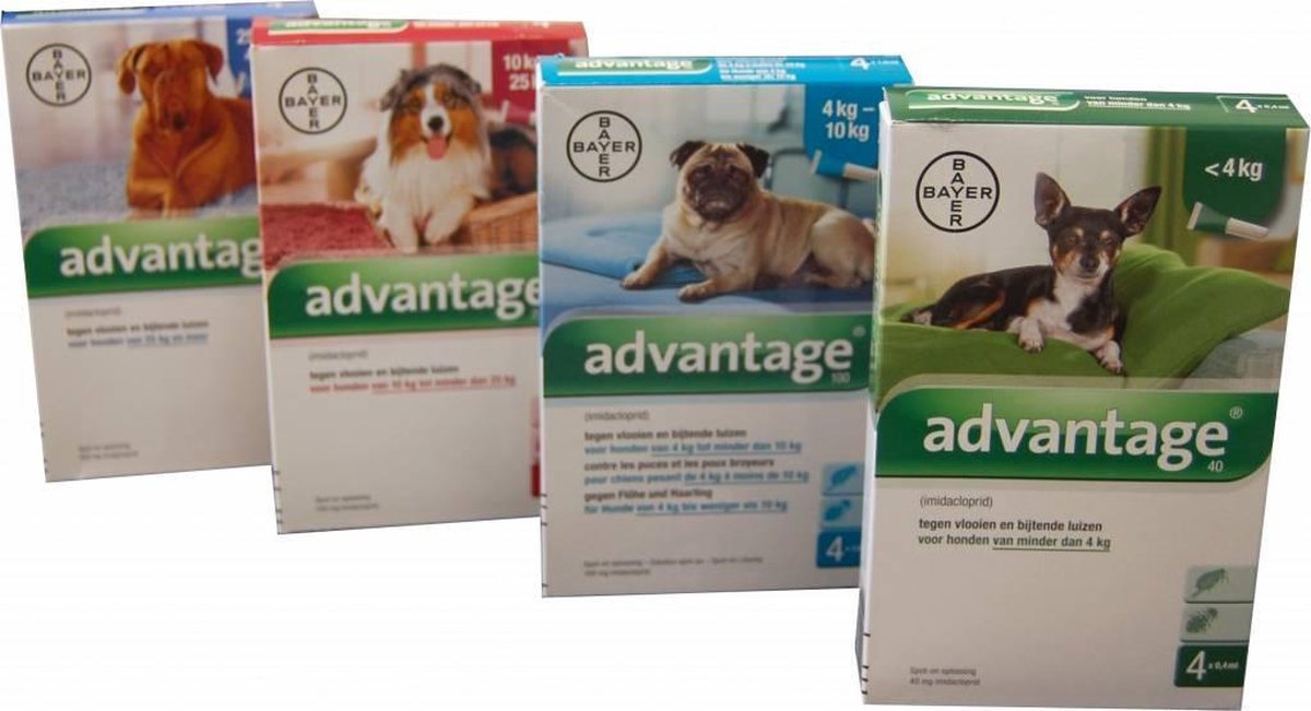 Advantage 40 Hond tot 4kg