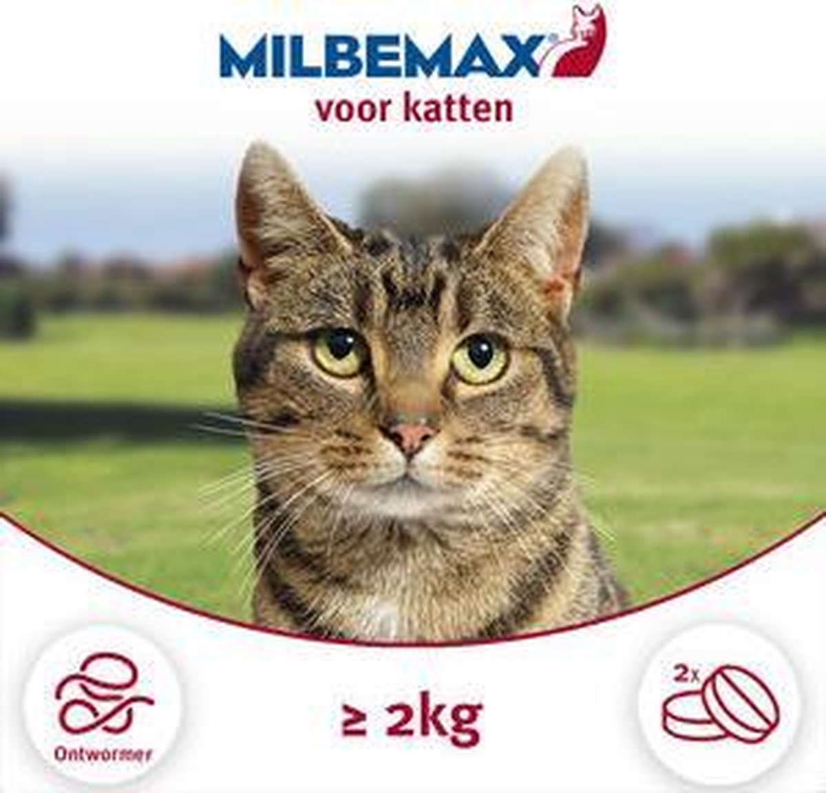 Milbemax Tabletten Kat Groot 4 tabl. groter dan 2kg - Rood