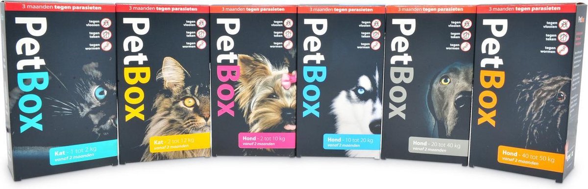 Petbox Hond 2-10 kg