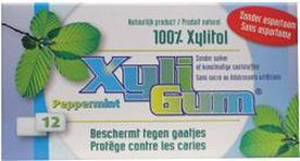 Xyligum Peppermint Bestekoop