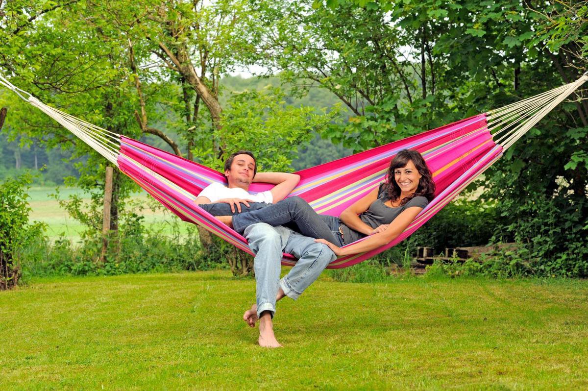 Amazonas Barbados Middenroze/Assorti / Gemengd