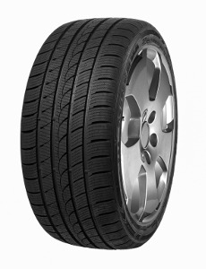 Minerva Ice-Plus S220 ( 255/60 R17 106H )