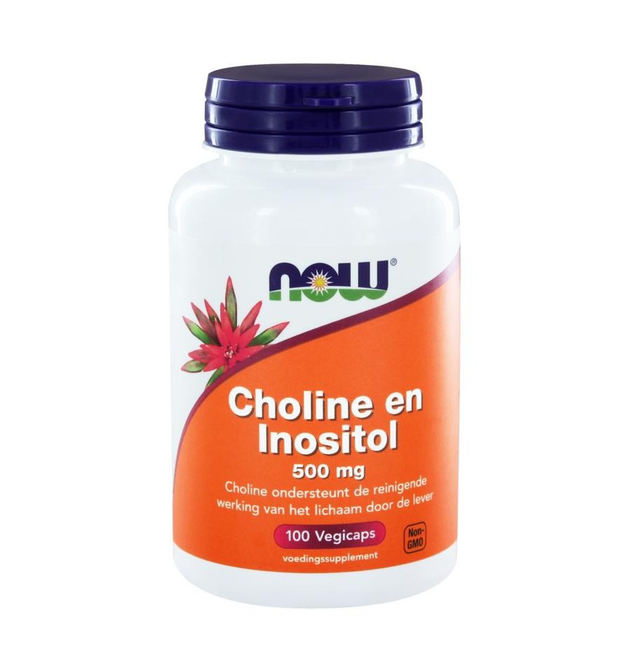 Now Choline en inositol 500 mg 100 vcaps