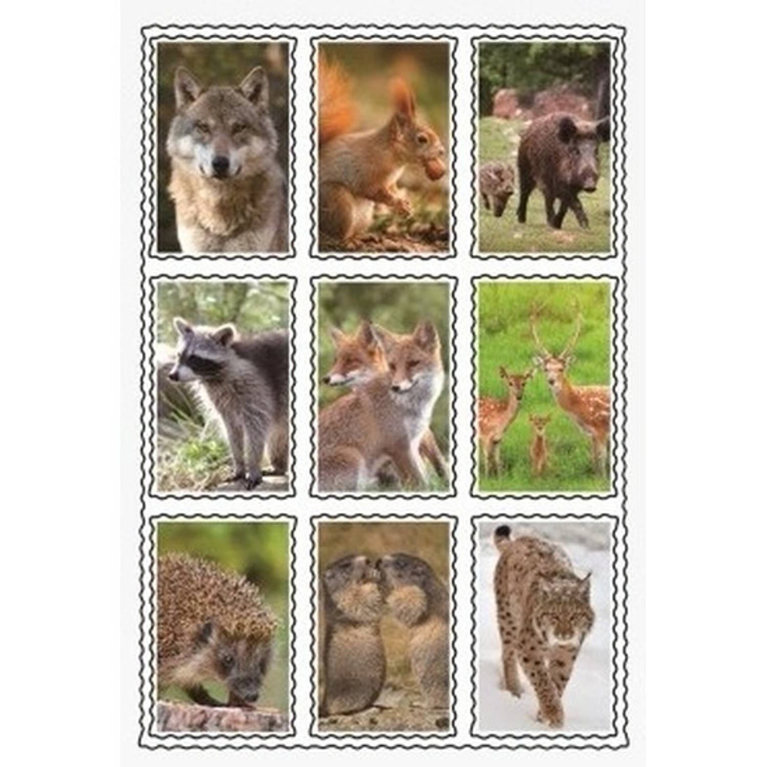 Wilde Dieren 3d Sticker Set