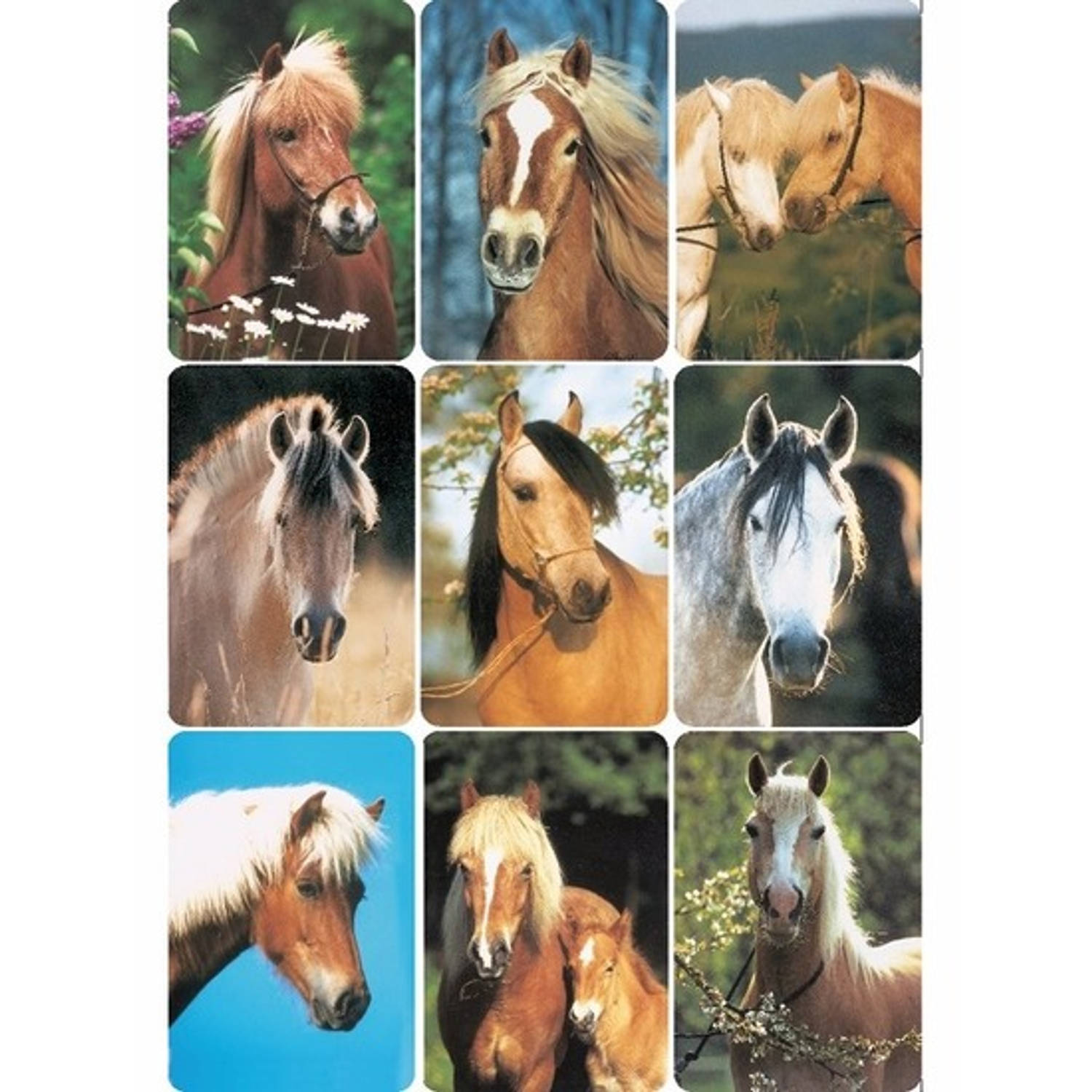 Paardenhoofden Stickers 3 Vellen