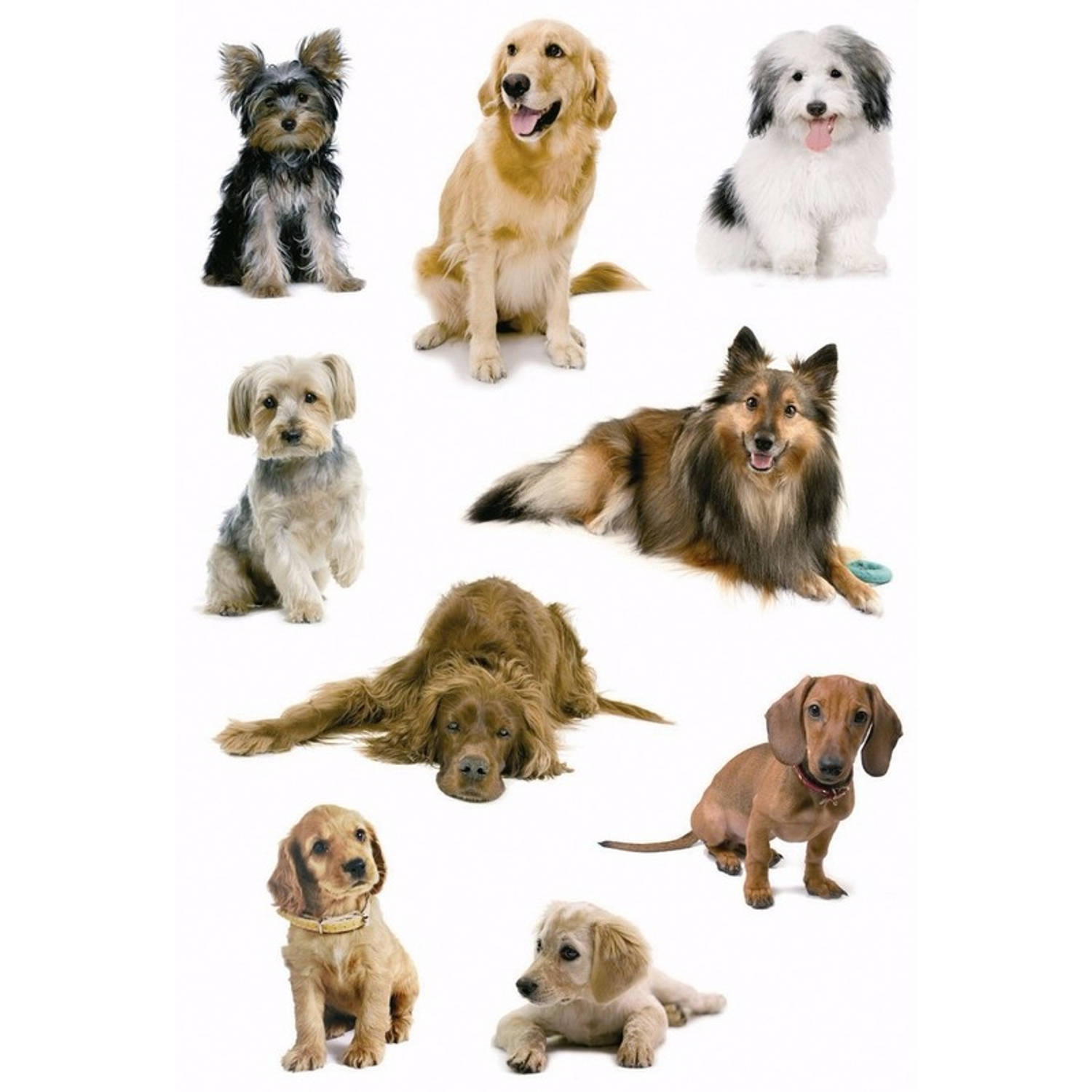 Honden Stickers 3 Vellen