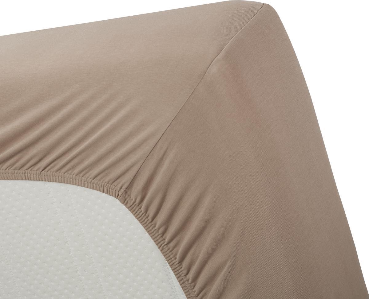 Beddinghouse Jersey Lycra Hoeslaken - 95% Gebreide Katoen - 5% Lycra - Lits-jumeaux (180/200x200/220 Cm) - Taupe - Bruin