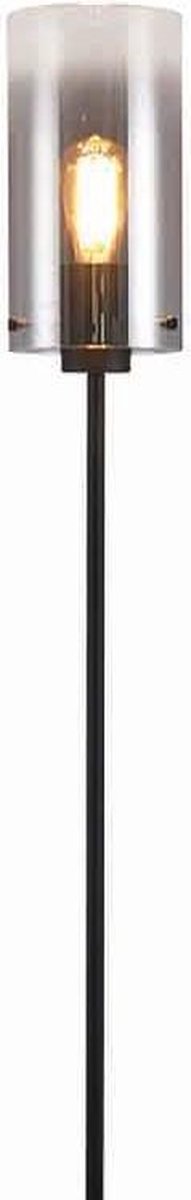 Freelight Vloerlamp Ventotto H 165 Cm Ø 15 Cm Rook Glas - Zwart