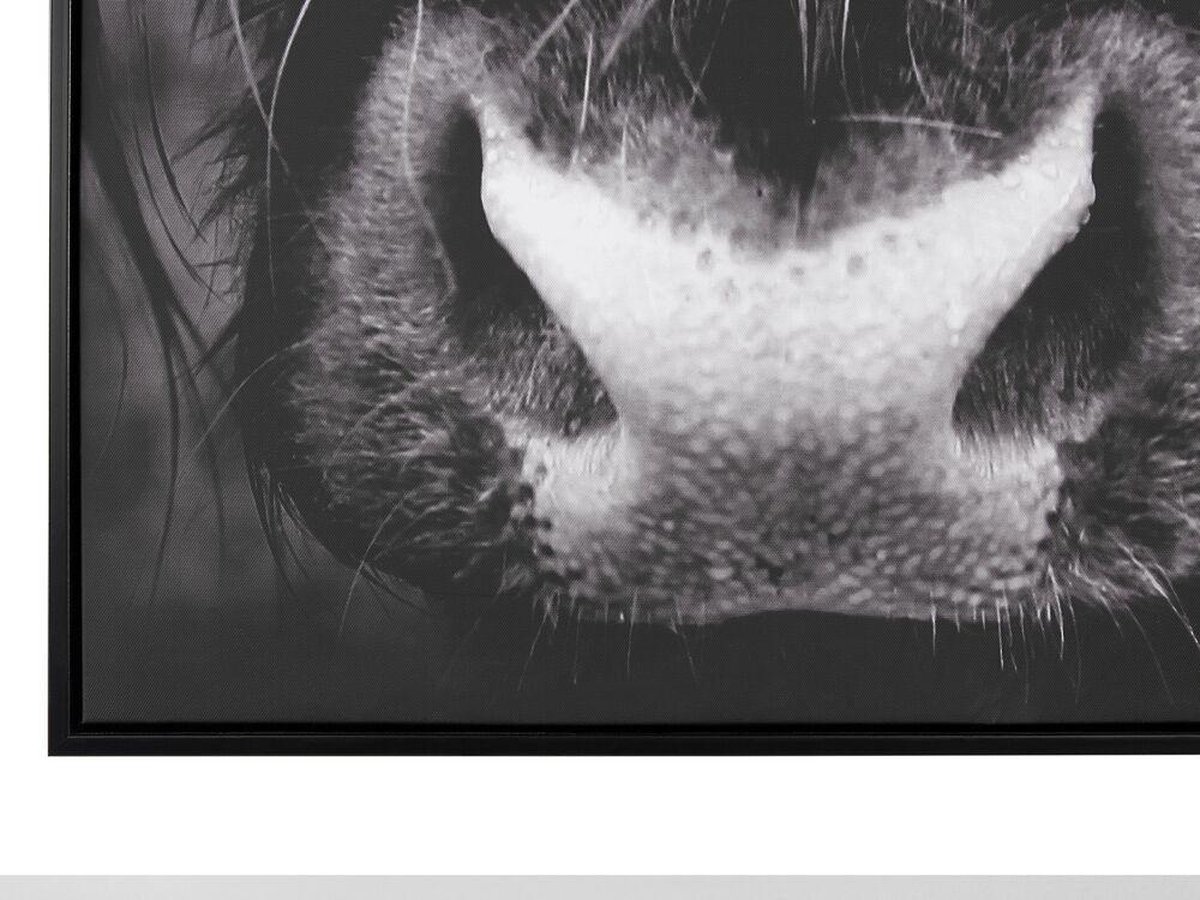 Beliani Galeata Wanddecoratie Polyester 5 X 63 Cm - Zwart