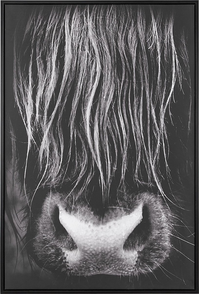 Beliani Galeata Wanddecoratie Polyester 5 X 63 Cm - Zwart