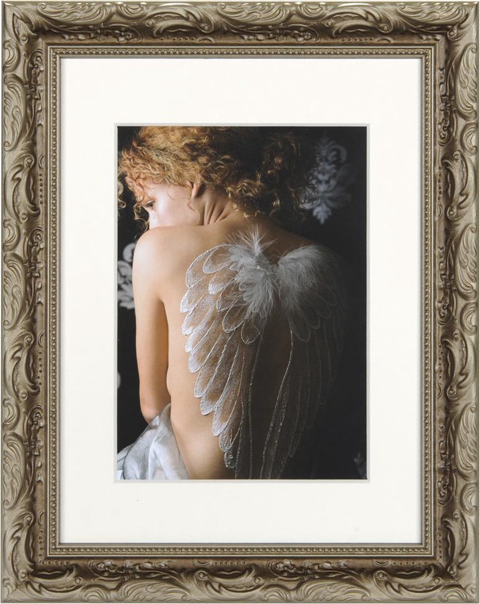 Henzo Fotolijst - Chic Baroque - Fotomaat 18x24 Cm - Champagne