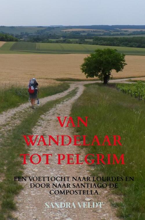 Brave New Books Van Wandelaar Tot Pelgrim