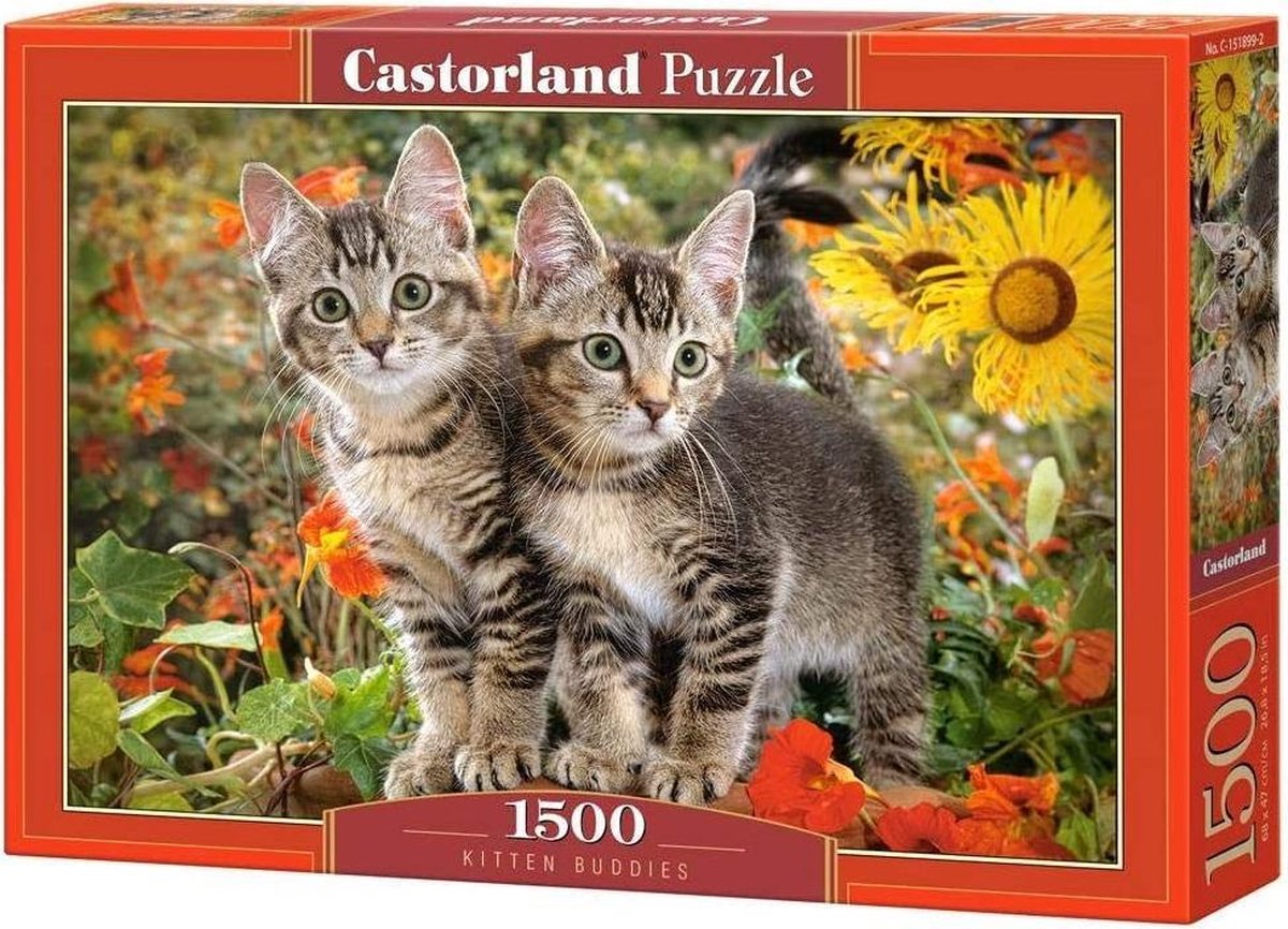 Castorland Puzzel Kitten Buddies 68 Cm Karton 1500 Stukjes