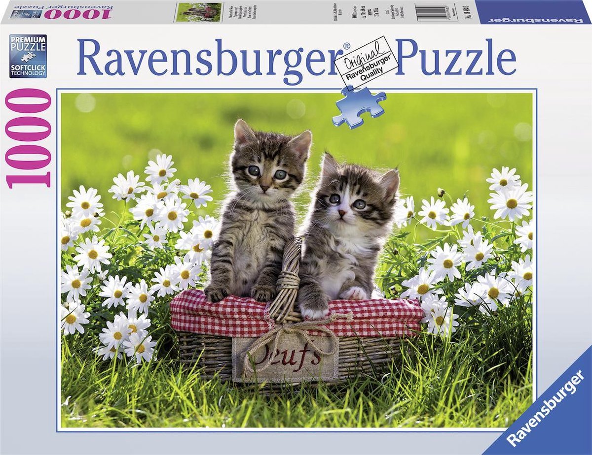 Ravensburger Puzzel Picknick In De Wei - 1000 Stukjes