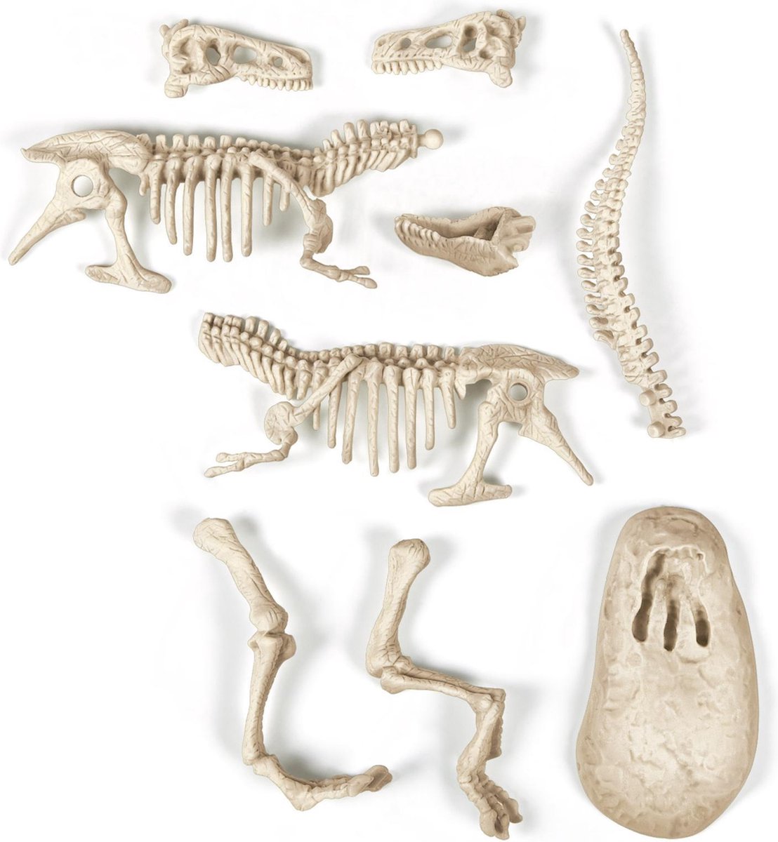Clementoni Archeospel T-rex Fluoriserend - Beige