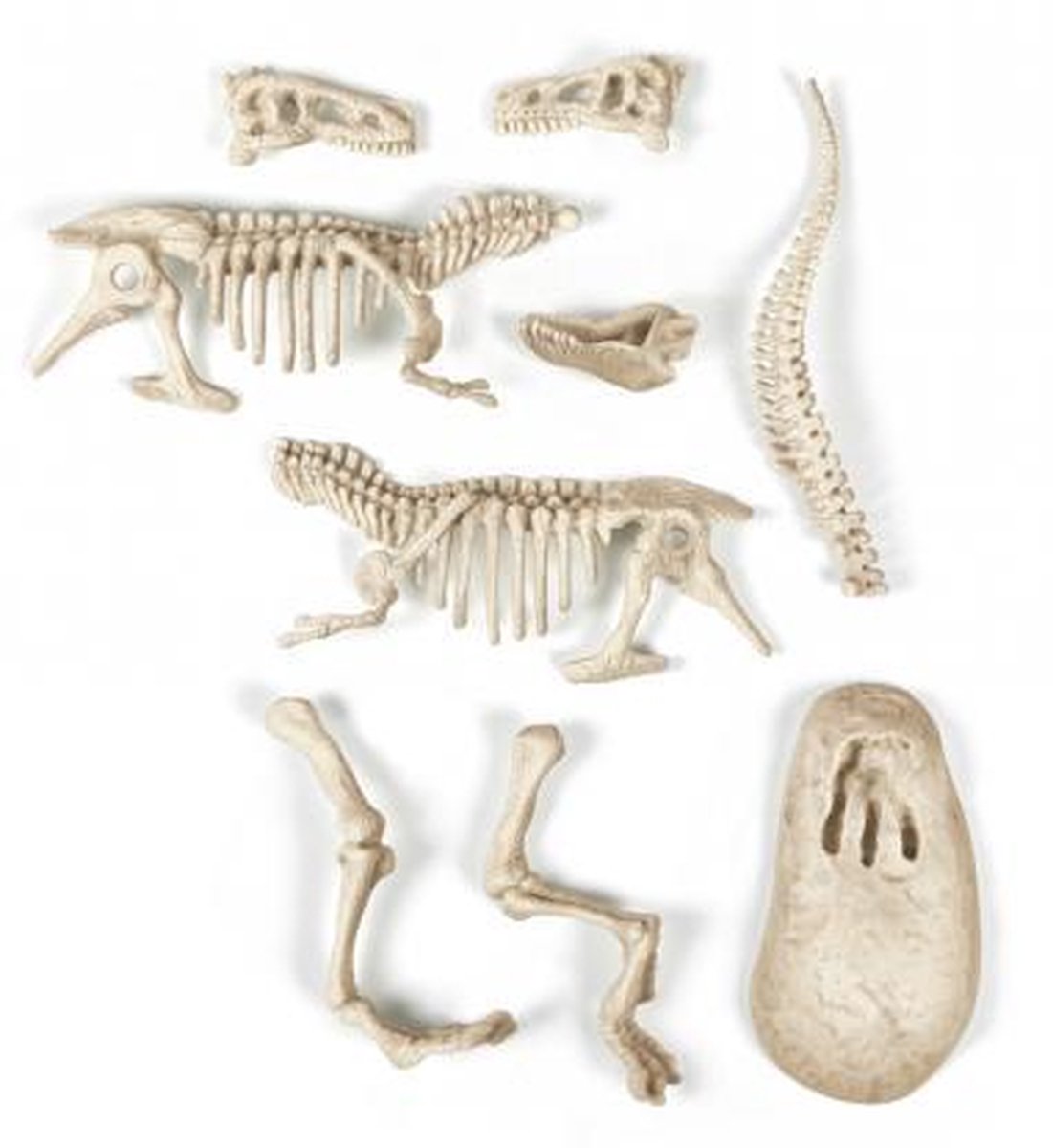 Clementoni Archeospel T-rex Fluoriserend - Beige