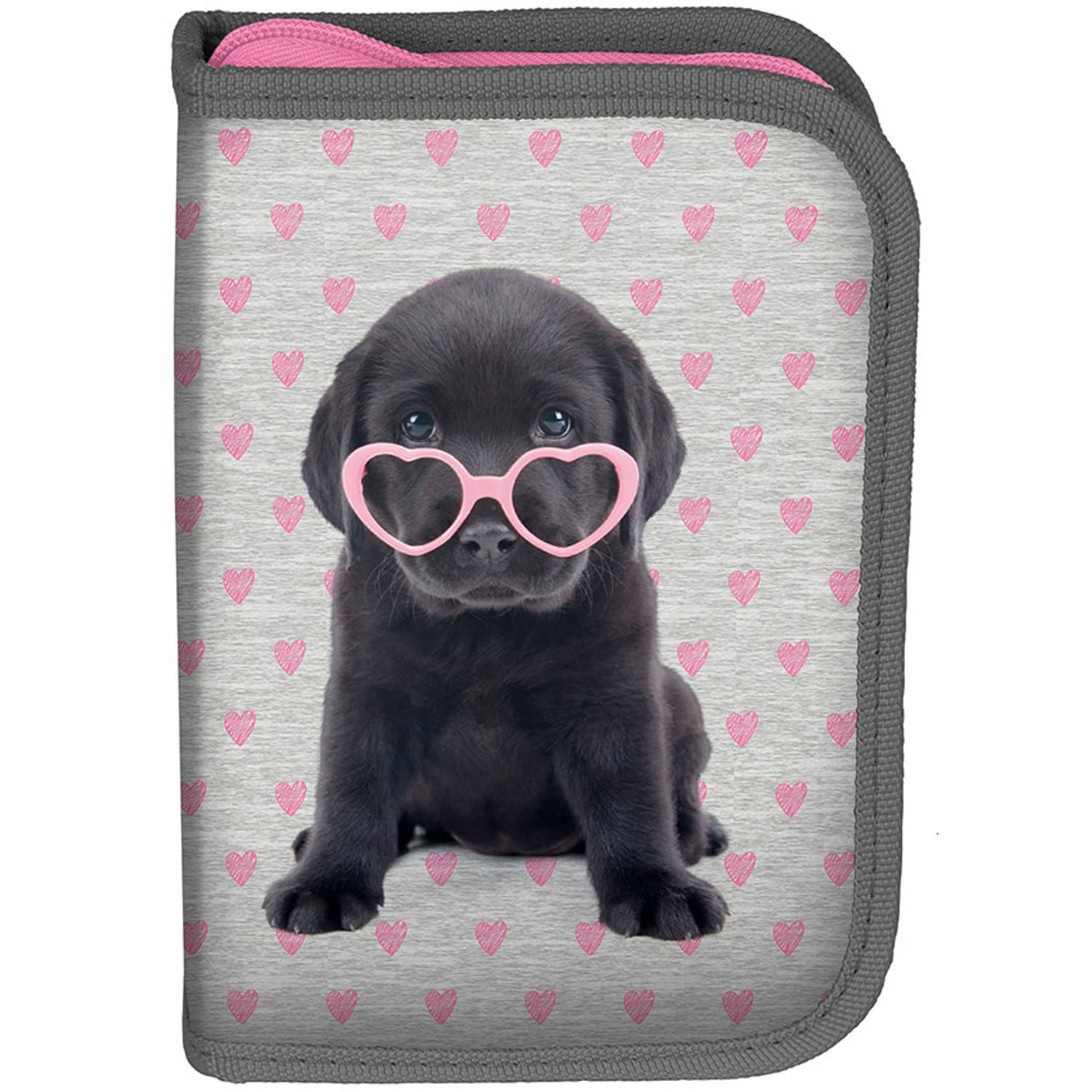 Studio Pets Puppy Glasses - Leeg Etui - 19.5 Cm - Multi