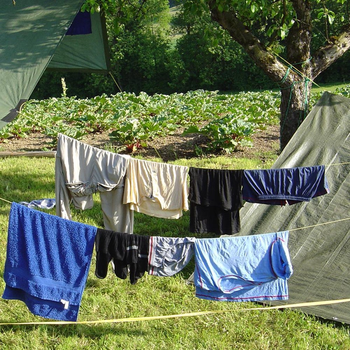 Hg Op-Reis-Wasje - 10 Wasbeurten