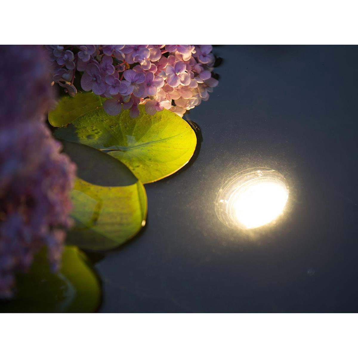 Ubbink MultiBright 20 LEDs - Zwart